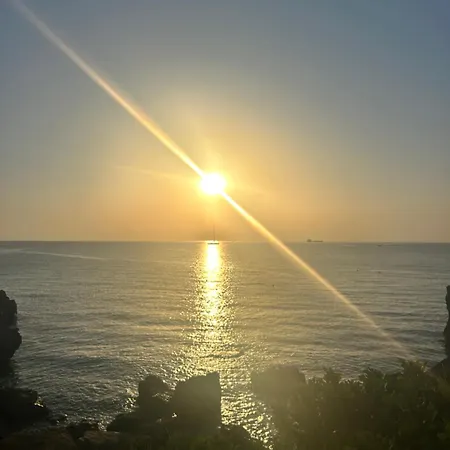 شقة Ginger's مونوبولي